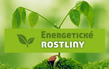 Rostliny - minisite věnovaná energetickým plodinám